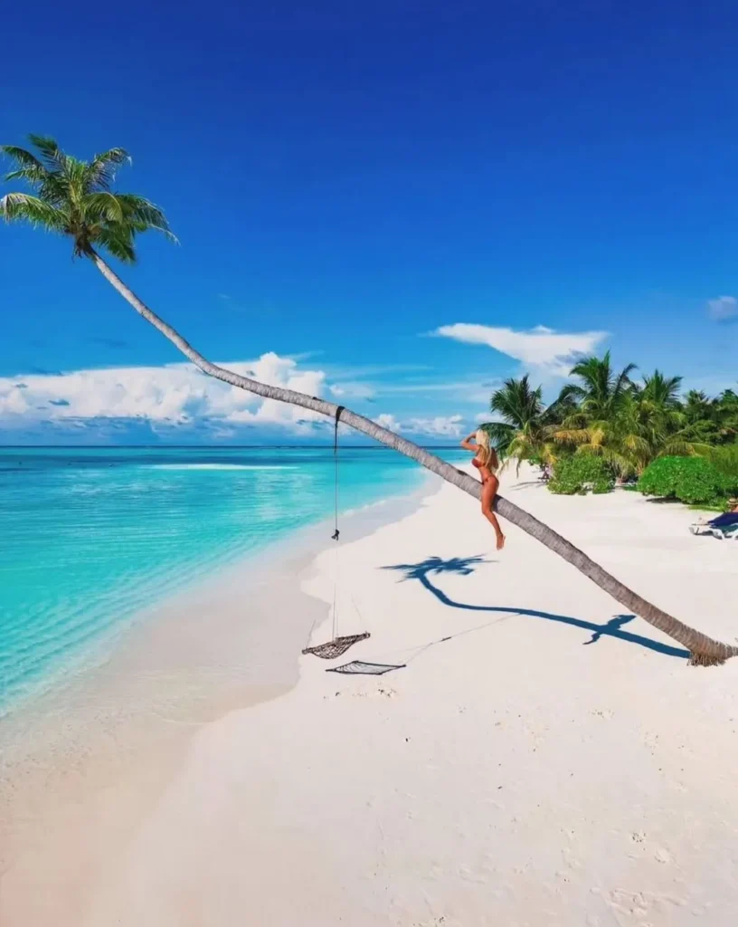 Fermede Labrunie|Top 5 Facts About the Maldives
