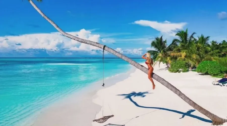 Fermede Labrunie|Top 5 Facts About the Maldives